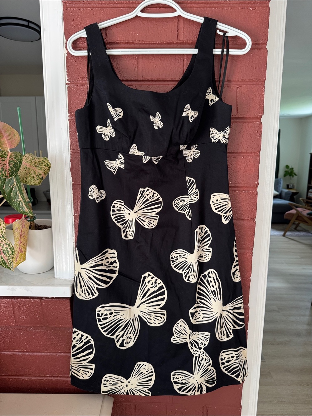 Talbots NWT Black Sleeveless Midi Dress with Cream Butterfly Print Size 8 Petite